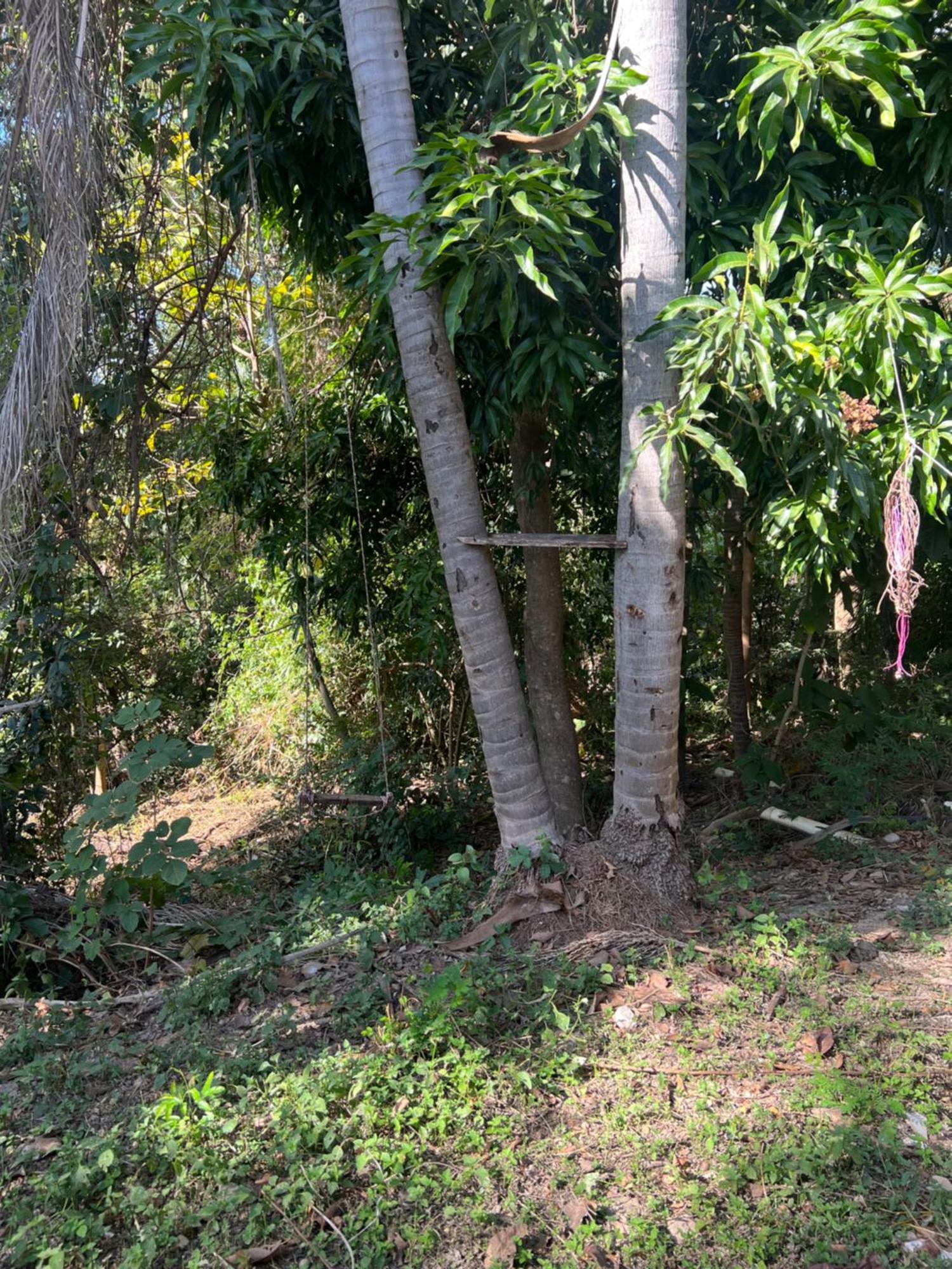 Hotel Ceres - Leao Da Montanha 14 Cuiabá Dış mekan fotoğraf